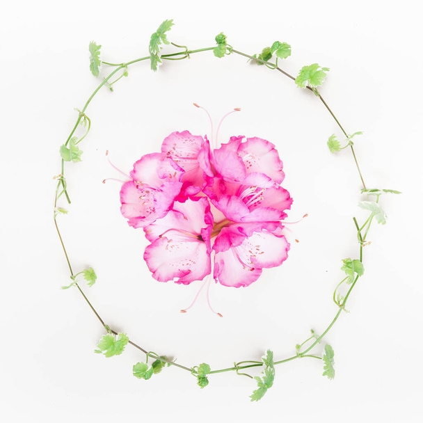 Plant wreath with green Liana and pink flowers on  white table background, top view - Fotó, kép
