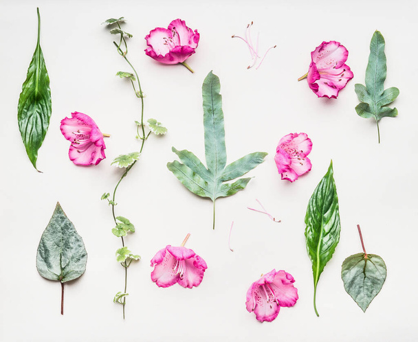 Floral flat lay with pink flowers and various green leaves . Flowers and plants composition on white table background, top view - Fotoğraf, Görsel