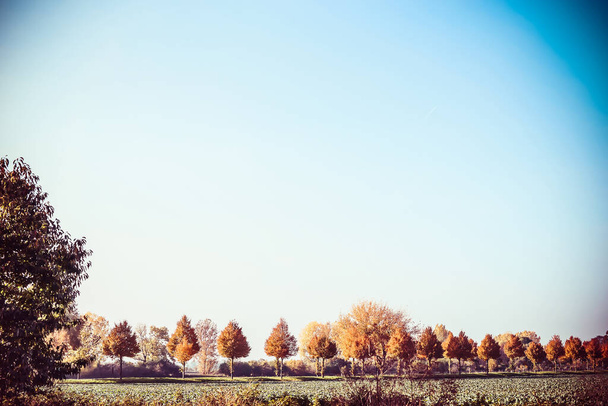 Beautiful autumn country landscape with trees, field and blue sky. Fall outdoor nature background - Fotografie, Obrázek