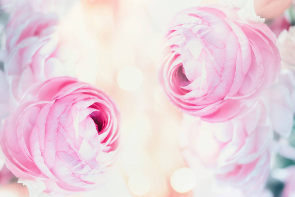Pink floral pastel background with bokeh - Foto, Imagem