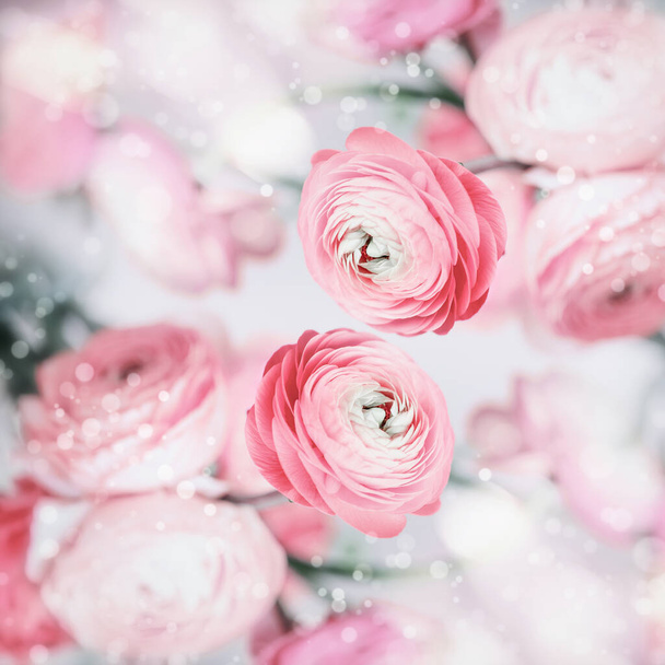 Lovely floral background with pretty pink pale flowers and bokeh, pastel color - Fotó, kép