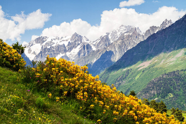 Faszinierende Natur der Kaukasischen Berge, Georgien - Foto, Bild