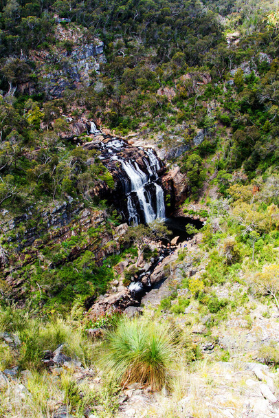 McKenzie Falls, Grampians National Park, Austrália
 - Foto, Imagem