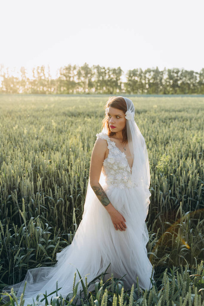 attractive woman wearing veil and long white dress walking in the field  - Photo, image