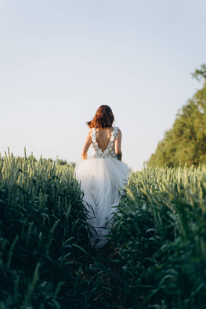 back view of attractive young woman in long white dress standing in the field  - Foto, afbeelding