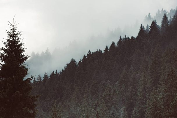 Misty mountain landscape - Foto, Imagem