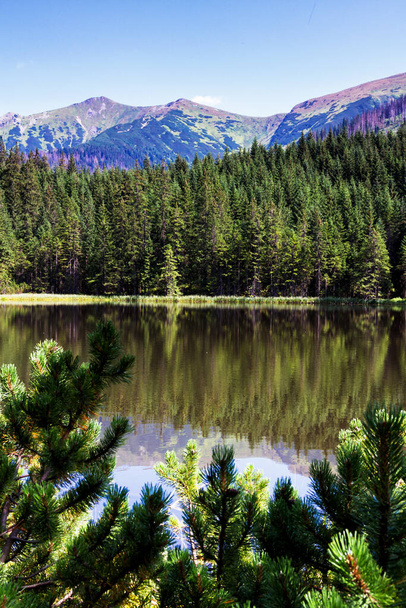Polonya 'daki Tatra Ulusal Parkı' nda Smreczynski Gölü - Fotoğraf, Görsel