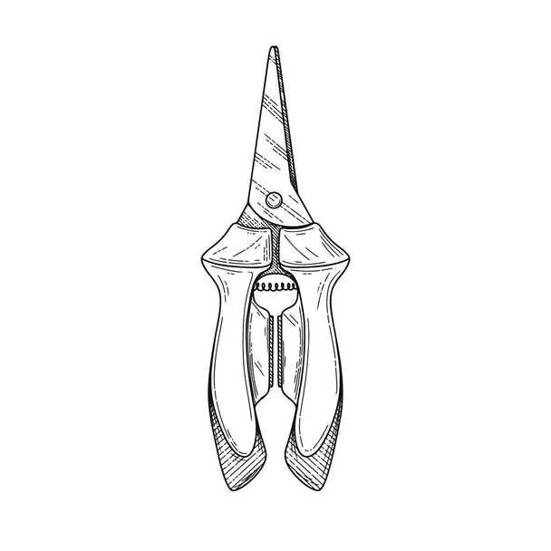 Pliers pincers hand tool isolated on white background. Vector illustration - Vetor, Imagem