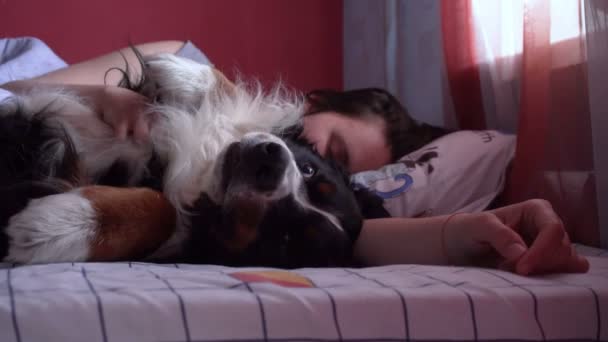 Woman cuddles with bernese mountain dog in bed in the morning - Footage, Video