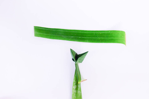 aloe vera leaves on white background - Фото, изображение