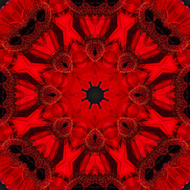 El fondo abstracto del patrón de flores del caleidoscopio. mandala fractal fondo rojo negro. arabesco caleidoscópico abstracto. ornamento geométrico patrón floral
 - Foto, imagen