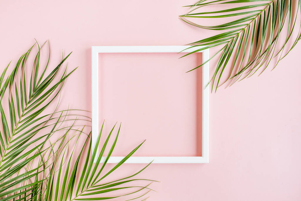 White frame and tropical palm leaves Phoenix on pink background. Flat lay, top view - Fotografie, Obrázek