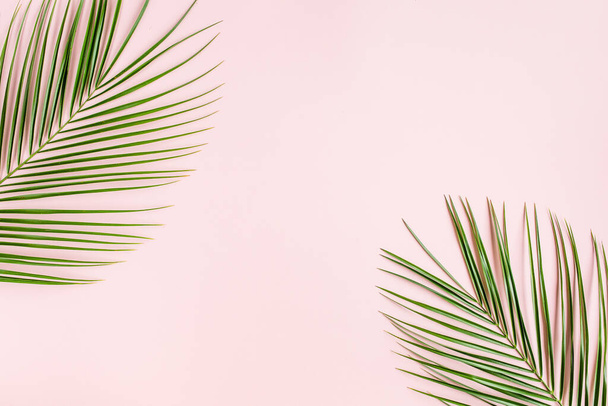 Tropical palm leaves on pink background. Flat lay, top view minimal concept. - Valokuva, kuva