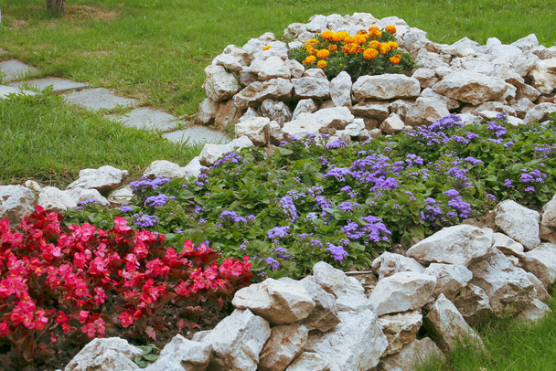 Очень красочный небольшой цветочный сад на площади Совета Брашов, Румыния
. - Фото, изображение
