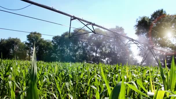 aspersão de irrigação
 - Filmagem, Vídeo