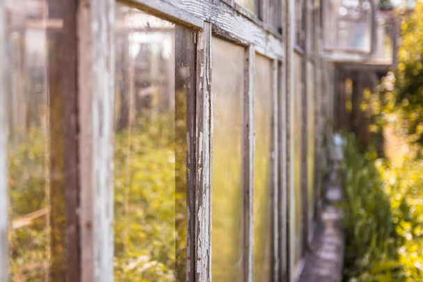 Window of an old greenhouse under the sun - Photo, Image