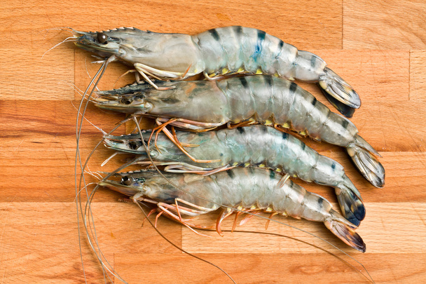 raw tiger shrimps - Photo, Image