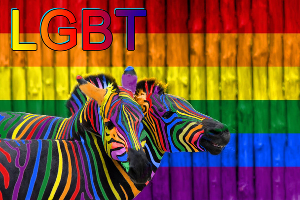 Dos cebras coloridas pintadas en los colores del arco iris se abrazan en el fondo de la bandera lgbt. El concepto del amor entre personas del mismo sexo y la igualdad de género. La inscripción - lgbt
. - Foto, imagen