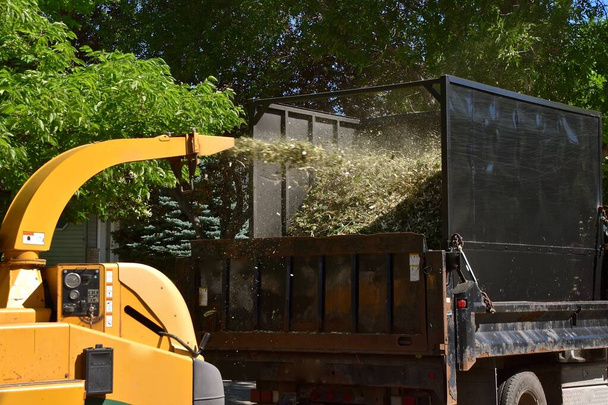 Zerfetzte Äste werden durch eine Rutsche in das Heck eines Lastwagens geweht.  - Foto, Bild