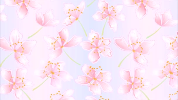 Video saumaton silmukka animaatio kuvitus kukkia sakura kukkii keväällä tausta vintage motion - Materiaali, video
