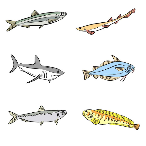 A Collection of Underwater Sea and Freshwater Fish Sharks and Eels Cartoon Illustration Clipart in Vector Form Logos - Vector, Image