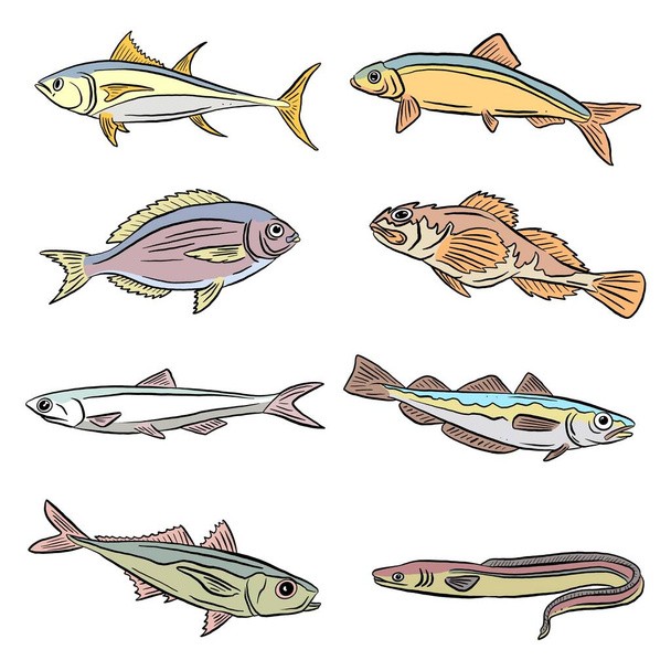 Vízalatti és édesvízi halcápák és angolnák gyűjteménye Rajzfilm illusztráció Vektoros logók - Vektor, kép