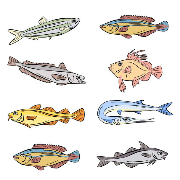 A Collection of Underwater Sea and Freshwater Fish Sharks and Eels Cartoon Illustration Clipart in Vector Form Logos - Вектор, зображення