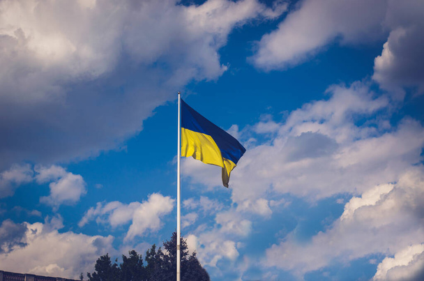 Duża flaga Ukrainy na tle chmur - Zdjęcie, obraz