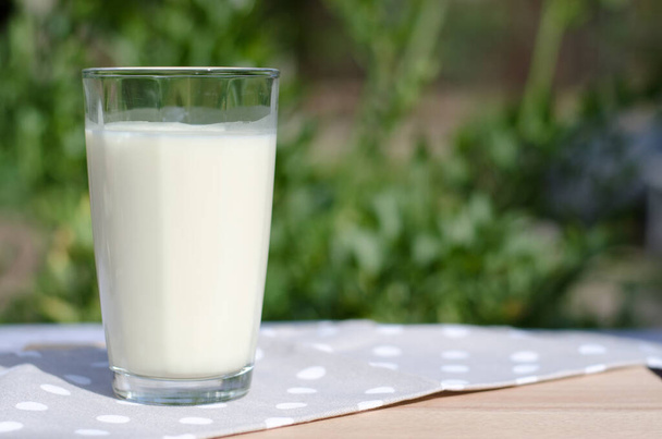 Glass of fresh milk on a background of nature. Milk in a large transparent glass - Photo, Image