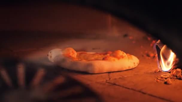 man takes baked pizza from wood burning oven using spatula - Felvétel, videó
