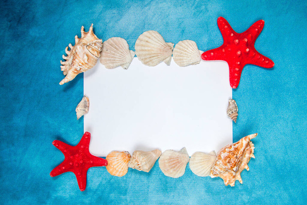 Seashell and starfish with the blank paper page on a blue background - Fotó, kép