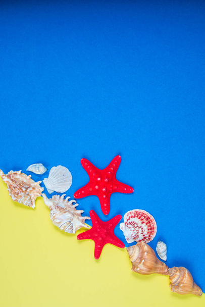 Морские звезды и ракушки на синем и желтом фоне
 - Фото, изображение