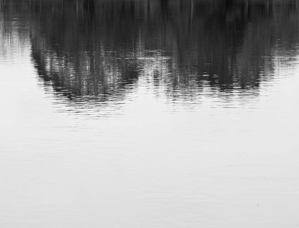 Schatten spendende Baumreflexion im Wasser - ruhiger Hintergrund - Foto, Bild