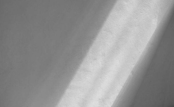 stín větví a listí na prasklé bílé stěně - Fotografie, Obrázek
