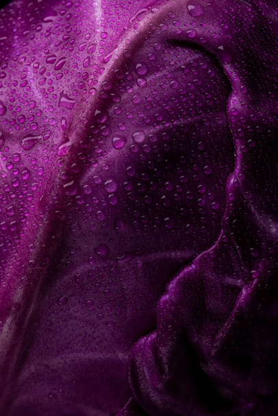 Purple cabbage with water drops lit on a black background - Photo, Image