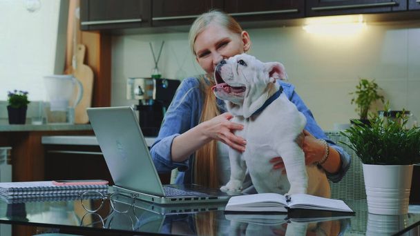 Donna bionda che fa videochiamate online ai suoi parenti per mostrare un piccolo bulldog - Foto, immagini