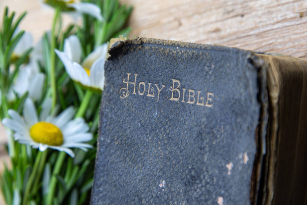 Alte Bibel, Rosmarin, Wildblumen, einfaches Bild einfacher Zeiten, eine gut gebrauchte alte Bibel, die auf rauem Holz ruht, mit einem Zweig Rosmarin und Wildblumen - Foto, Bild