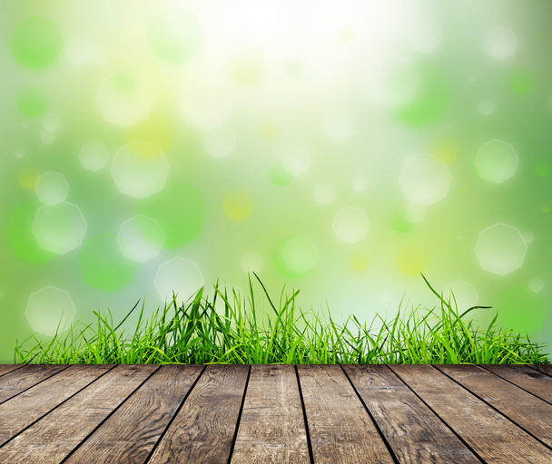 Green grass - Foto, Imagen