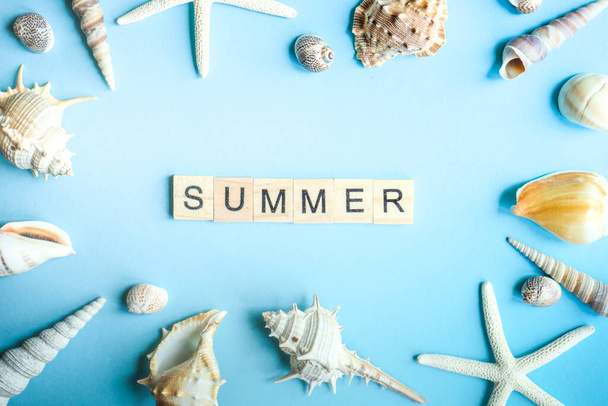 Summer frame with sea stars and shells on blue background with copy space - 写真・画像
