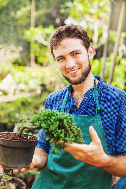 Handsome male gardener with bonsai - Photo, image