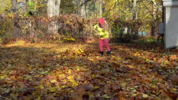 Niña luchando hojas de otoño de colores con herramienta rastrillo en el patio trasero de la casa
 - Metraje, vídeo