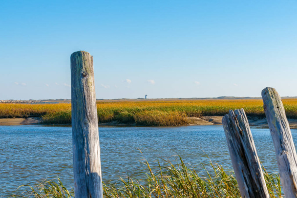 Salt Marsh and Long Point Lighthouse in distance on horizon near Provincetown Cape Cod, USA. - Photo, Image
