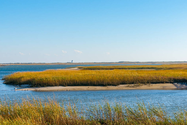 Salt Marsh and Long Point Lighthouse in distance on horizon near Provincetown Cape Cod, USA. - Photo, Image