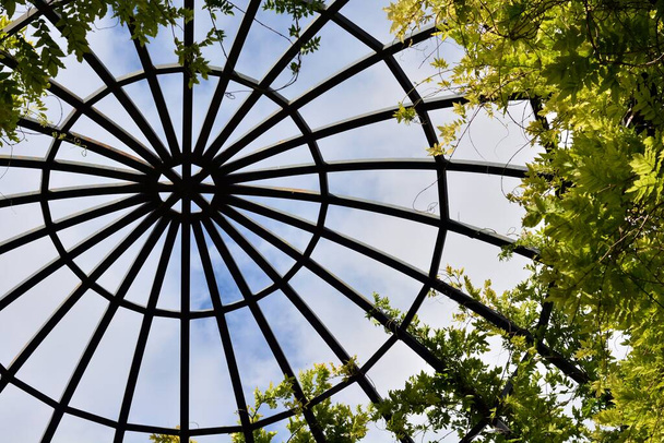 Structure of a steel dome in an outdoor park - Photo, Image
