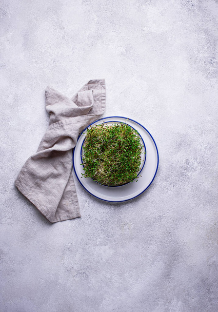 Microgreen sprouts of alfalfa. Healthy food - Foto, Imagem