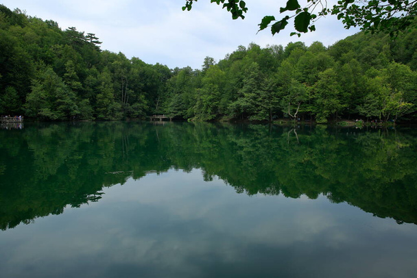 Národní park Yedigoller. Výhled na jezero v národním parku se skládá ze 7 jezer, které jsou tvořeny sesuvy půdy, přizpůsobené široké škále stromů a zvířat. Bolu, Turecko. - Fotografie, Obrázek