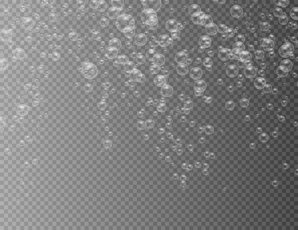 Realistic soap bubbles.  - Vector, Image