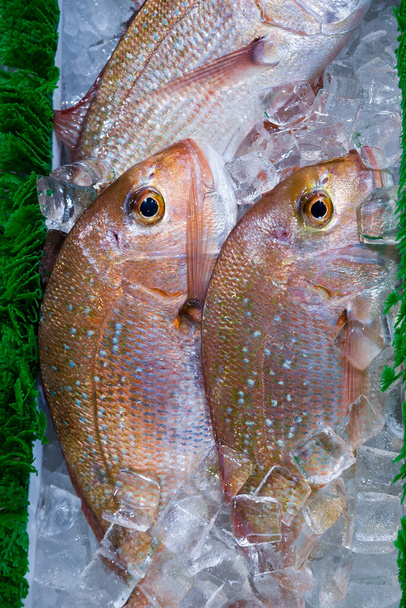 На рынке в Ванкувере выставлена целая рыба
 - Фото, изображение