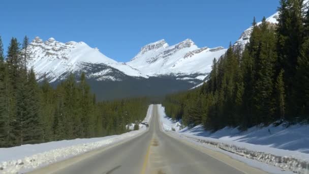 ПОВ: Їхати по дорозі, пропонуючи приголомшливий вид на Канадські Скелясті гори. - Кадри, відео