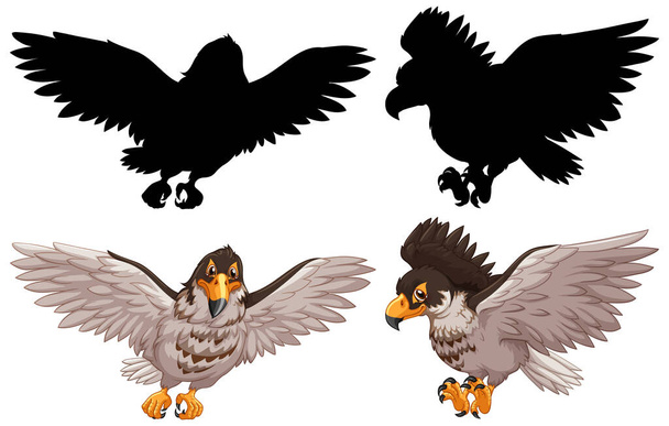 Set of hawk and its silhouette illustration - Διάνυσμα, εικόνα
